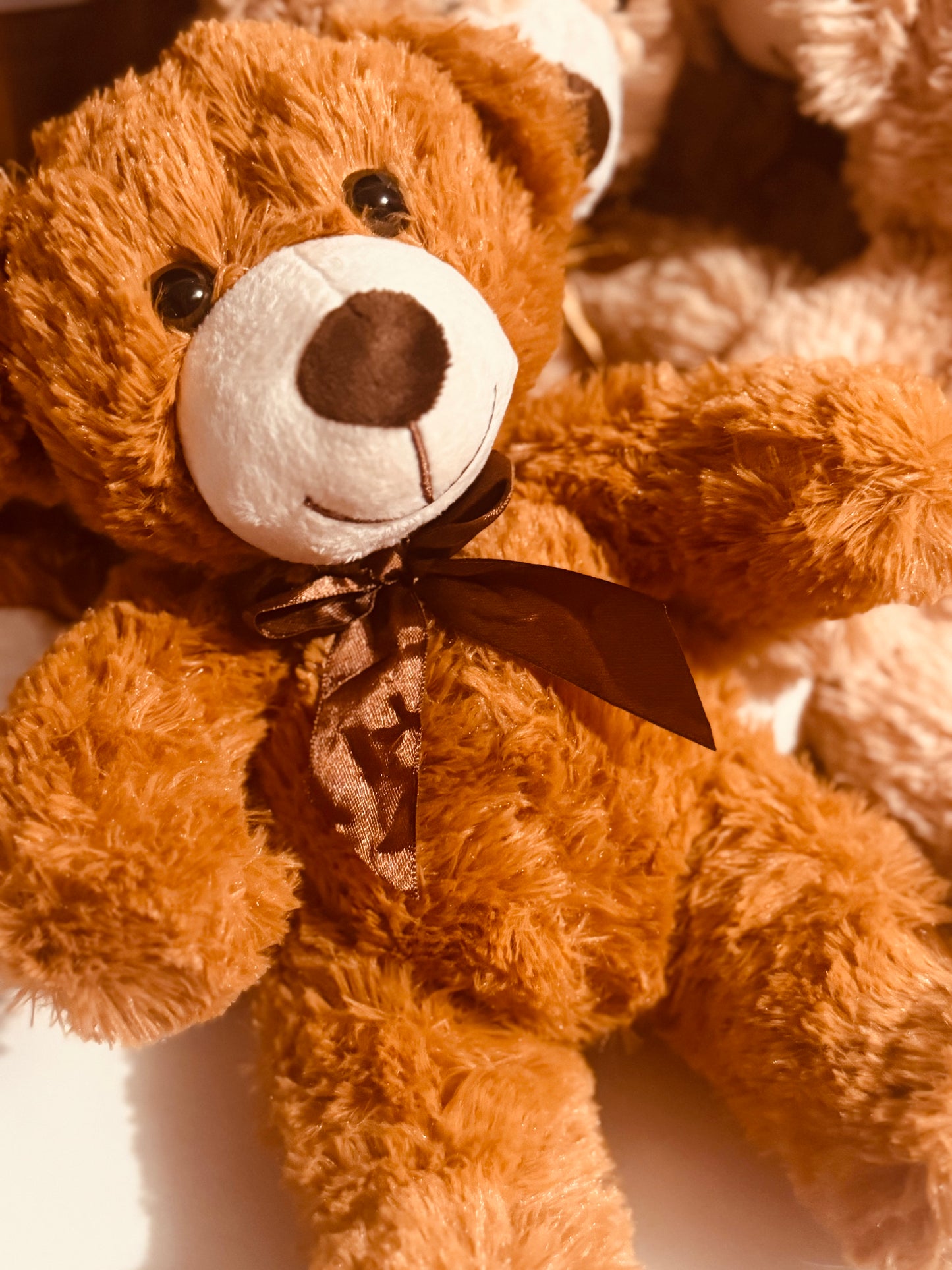 Cuddling Bear Plush